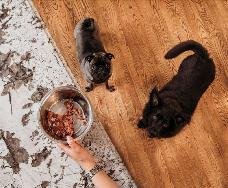 feeding dogs raw, browns best raw