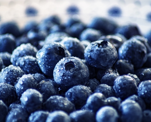 closeup view of blueberries