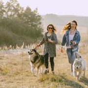 two women running with their huskies on leashes