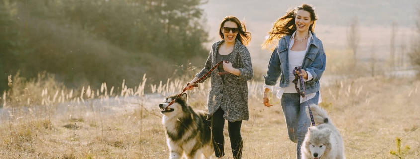 two women running with their huskies on leashes
