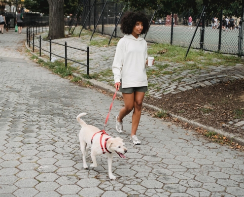 woman walking a dog through an urban park